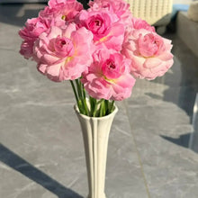Wheatfield Ranunculus Seeds - Verdseeds