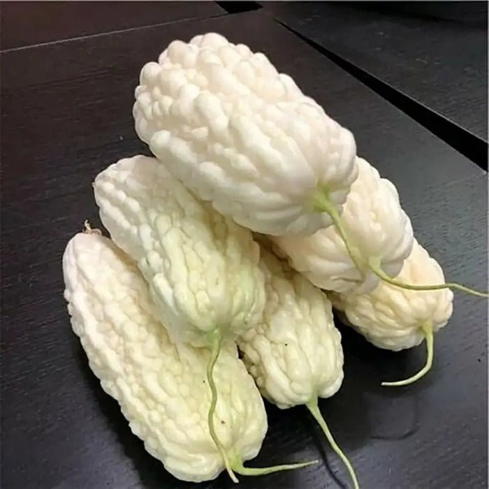 White Bitter Melon Seeds - Verdseeds