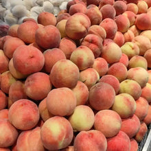 Wild Peach Seeds - Verdseeds