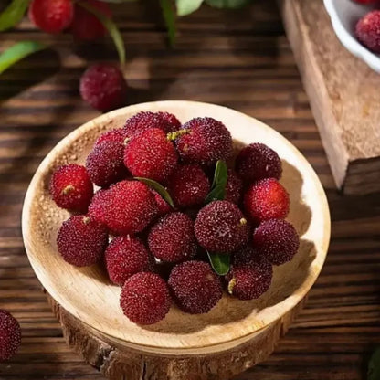 Chinese Bayberry Seeds