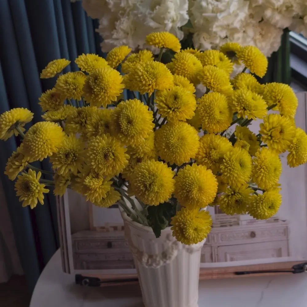 Yellow China Aster Seeds - Verdseeds