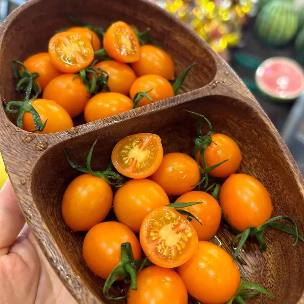 Yellow Noble Tomato Seeds - Verdseeds